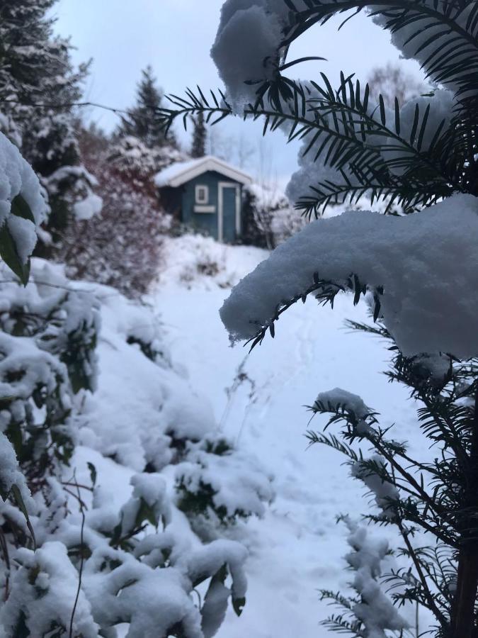 Schoenwald Waldchalet Am Musenberg Stryck 外观 照片